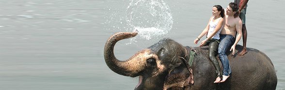 Chitwan National Park